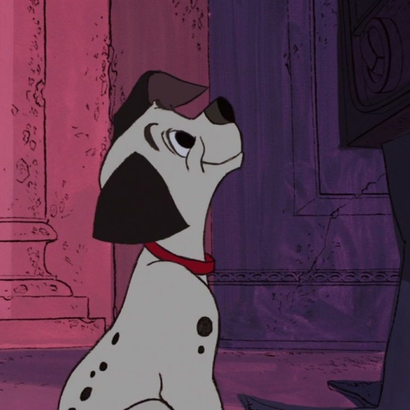 Meet your Posher, Nancy - Picture 1 of 1